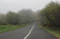 A road in a forest at autumn