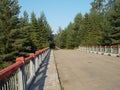 road through the forest bridge over the stream summer day Royalty Free Stock Photo