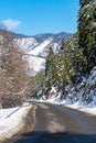 Road in forest in caucasus mountains. winter snow and pine trees. Bakuriani Royalty Free Stock Photo