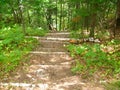 Road in the forest, descent from the hill, path