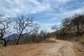 Road in the forest in dry season