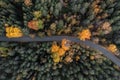 A road in a forest with fall foliage of the trees Royalty Free Stock Photo