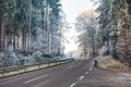 Road through a forest with frosted trees