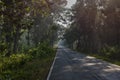 Road through forest in Jamboni, near Chilkigarh Royalty Free Stock Photo