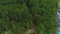 Road Through The Forest Lazy Droga Przez Las Aerial View Poland