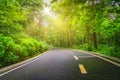 Forest Road Sun Beams and Rays Royalty Free Stock Photo