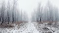 Road in a forest on a misty winter day. Trees in a snowy park after blizzard. Generative AI Royalty Free Stock Photo