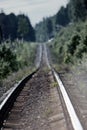 road through forest. - railway is lost in haze Royalty Free Stock Photo