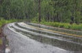 Road in forest in rain Royalty Free Stock Photo