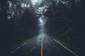 The road into the forest in the rainy season