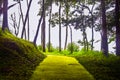 The road in the forest during the rainy season has high humidity to causing the moss to be full, trees and fog on the mountain