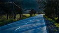 Road in the forest road, highway, asphalt, travel, landscape, nature, trees, forest, transportation, way, sky, drive, tree, car,