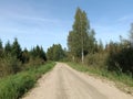 Road in forest in Siauliai county during sunny day