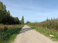 Road in forest in Siauliai county during sunny day