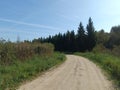 Road in forest in Siauliai county during sunny day