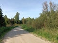 Road in forest in Siauliai county during sunny day