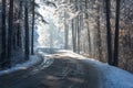 Road forest snow frost sunlight winter Royalty Free Stock Photo