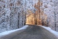 Road forest snow frost sunlight winter Royalty Free Stock Photo