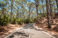 Road in forest, street through forest landscape Royalty Free Stock Photo