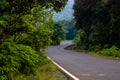 Road | Forest | Tahini Ghat