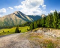 Road through forest to high mountains Royalty Free Stock Photo