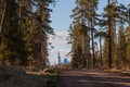 The road through the forest to the temple. Royalty Free Stock Photo