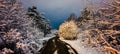 The road in the forest. Trees in the stuck snow. Winter landscape, evening.