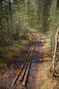 The road through through the forest wilds to the Blue Geyser Lake in the spring forest . Altai Mountains, Siberia, Russia Royalty Free Stock Photo