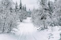 Snow road in the forest in winter in Russia