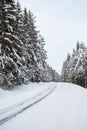 Road in forest at winter