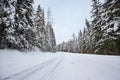 Road in forest at winter