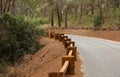Road in the forest with wooden guardrail Royalty Free Stock Photo