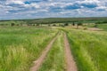 Road through fresh summer meadow near Dnipro city in central Ukraine