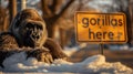 The gorilla\'s face is frozen and covered with frost, AI generated