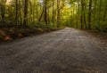 Road Through Gee Creek Forest