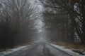 Autumn landscape, road going into the distance, foggy boring morning Royalty Free Stock Photo