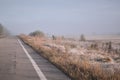 The road goes into the distance into the fog. Rime on grass Royalty Free Stock Photo