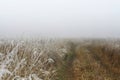 The road goes into the distance in a thick fog