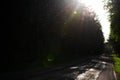 The road going into the distance, the sunlight and the swarm of midges