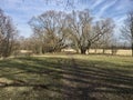 Road going past a fenced meadow one one side and bushland vegetaton on the other with forest in the background and a lone tree in Royalty Free Stock Photo