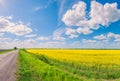 The road going through a sown field with yellow flowers under a blue sky with clouds, similar to the flag of Ukraine Royalty Free Stock Photo