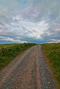 Road going to the Moher Tower on the Cliffs of Moher in Country Clare