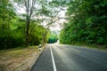 Road going through a trees Royalty Free Stock Photo