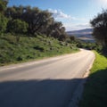 The road in the Golan Heights is beautiful.