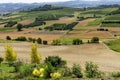 Road to Govone and San Martino Alfieri, Asti, in Monferrato Royalty Free Stock Photo