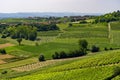 Road to Govone and San Martino Alfieri, Asti, in Monferrato Royalty Free Stock Photo