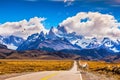 On the road is graceful guanaco