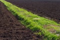 Road grass on fertile ground Royalty Free Stock Photo
