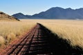 Road, grass and mountain landscape