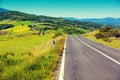 Road among grassed fields Royalty Free Stock Photo